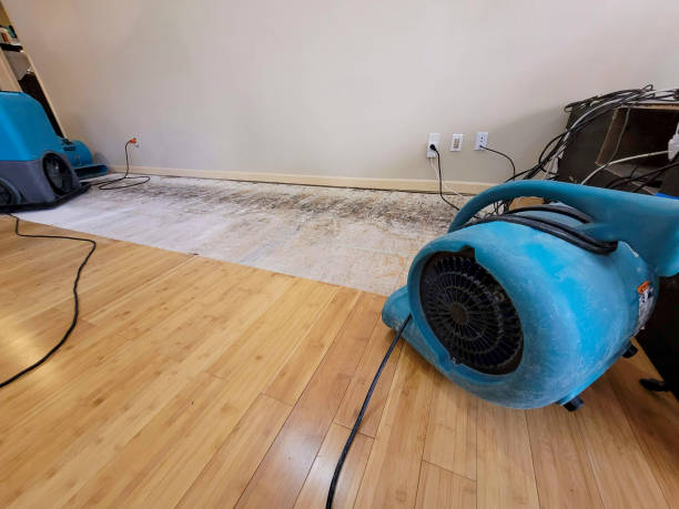 Professional Water Damage Repair technician working in Ottawa, WV